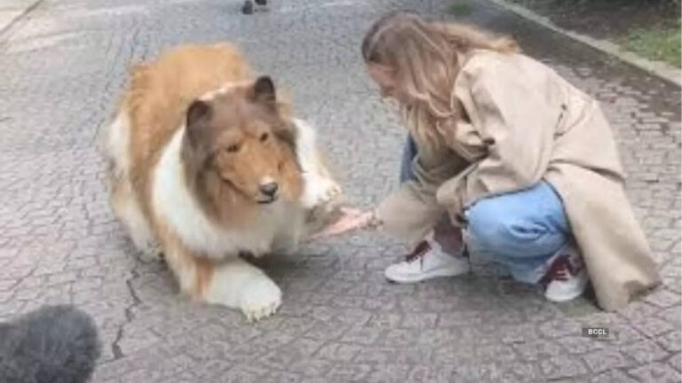 Man who turned into a dog opens zoo