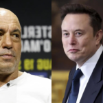 Joe Rogan praises Musk on podcast, billionaire entrepreneur agrees: 'Need to meet this Elon guy'