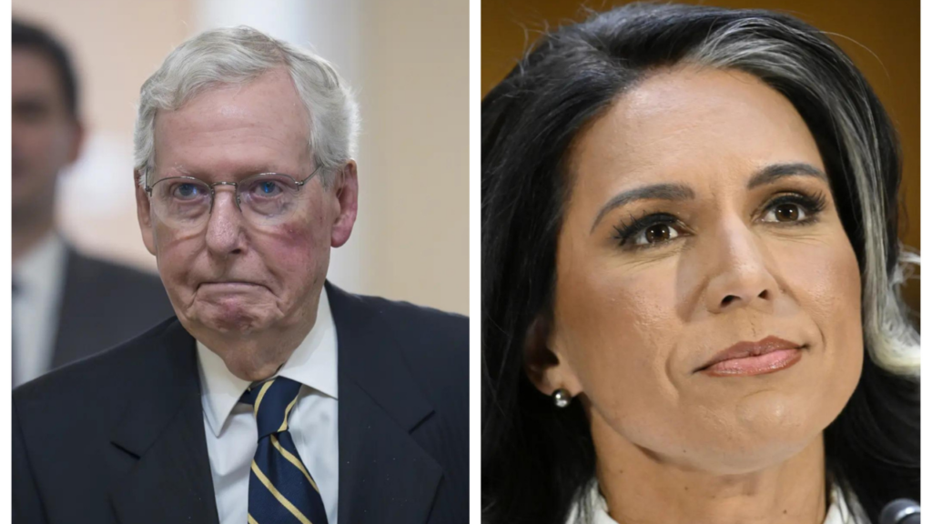 Mitch McConnell only Republican to vote against Trump's director of national intelligence Tulsi Gabbard