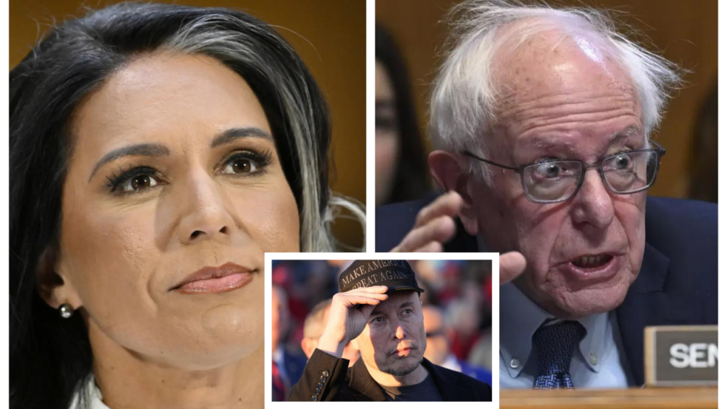 Elon Musk agrees Bernie Sanders is a fraud for voting 'no' on Tulsi Gabbard confirmation