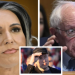 Elon Musk agrees Bernie Sanders is a fraud for voting 'no' on Tulsi Gabbard confirmation