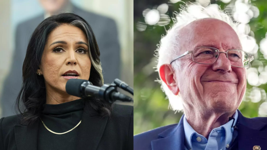 Why Bernie Sanders is being called out for not supporting Tulsi Gabbard