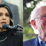 Why Bernie Sanders is being called out for not supporting Tulsi Gabbard