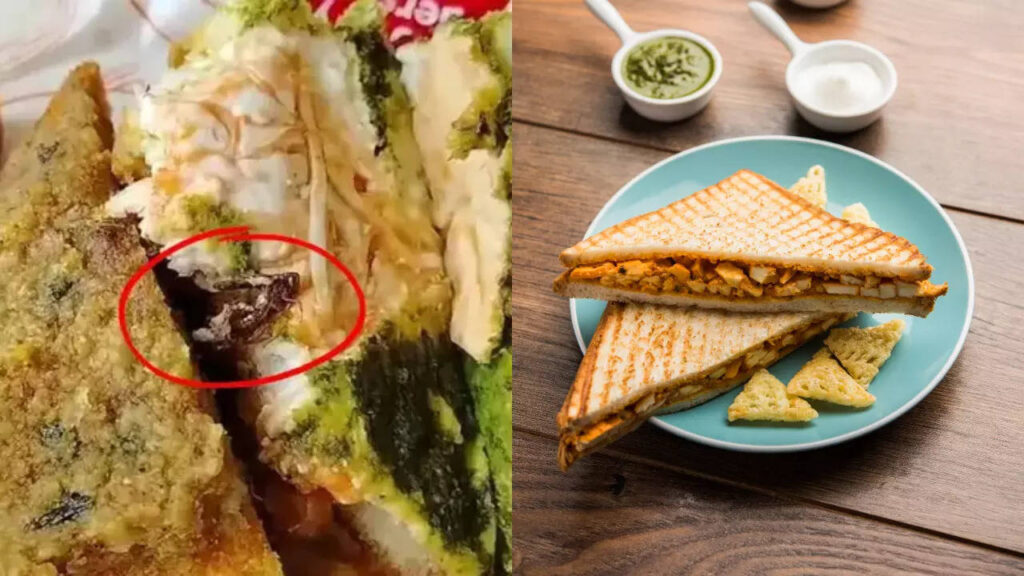 Man orders Paneer Tikka Sandwich and shocked by what he finds inside