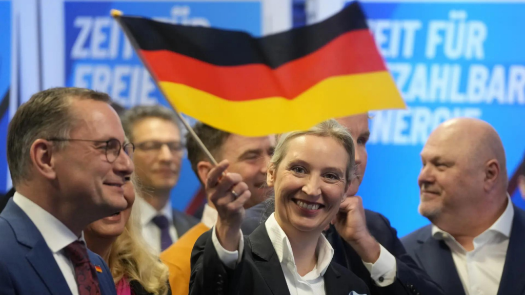 'We have achieved something historic': Germany's AfD celebrates record gains