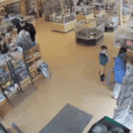 Watch: Thieves stage seizure to steal puppies from Colorado pet store