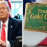 Trump’s $5 million ‘Gold Card’ visa sparks debate: Debt fix or immigration for the wealthy?