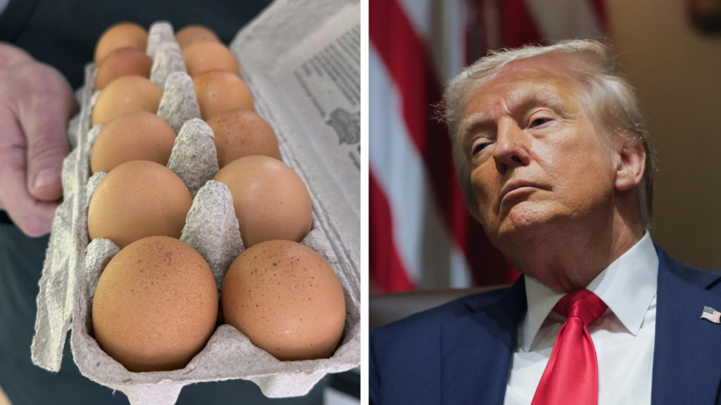 Is Donald Trump responsible for rise in egg prices in New York?