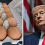 Is Donald Trump responsible for rise in egg prices in New York?