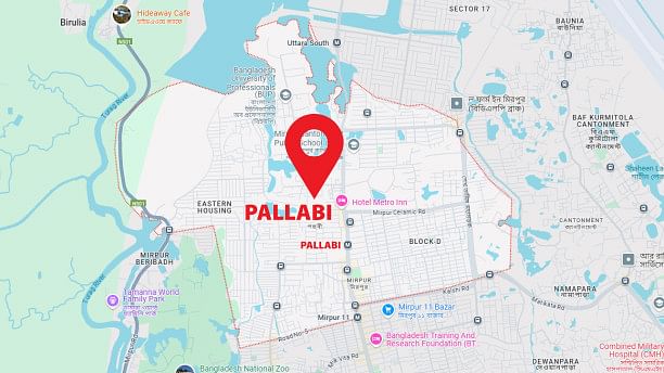 Siblings shot in Pallabi