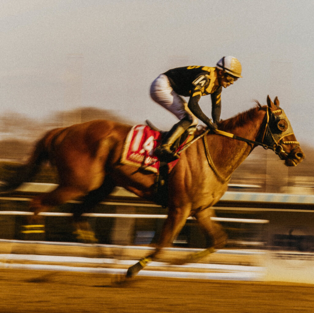 Dead Athletes. Empty Stands. Billions to Keep Horse Racing Alive.