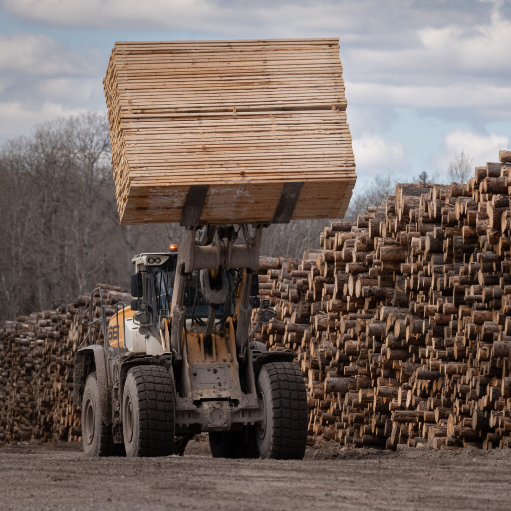 Trump Picks Another Trade Fight With Canada Over Lumber