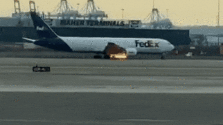 Bird strike forces FedEx plane to make emergency landing at US airport; watch video