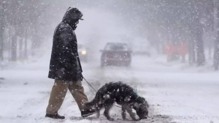 Massive storm 'Lola' to sweep US, brings tornadoes, blizzard conditions and disruptions