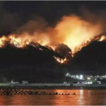 Japan fights forest fire that damaged dozens of homes, caused hundreds to evacuate