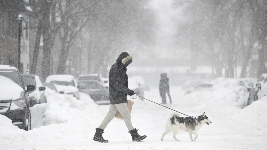 Deep freeze incoming in US, Canada, and UK? How polar vortex collapse will plunge temperatures