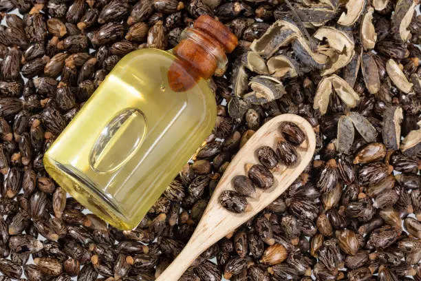 How to use Castor Oil to increase hair growth