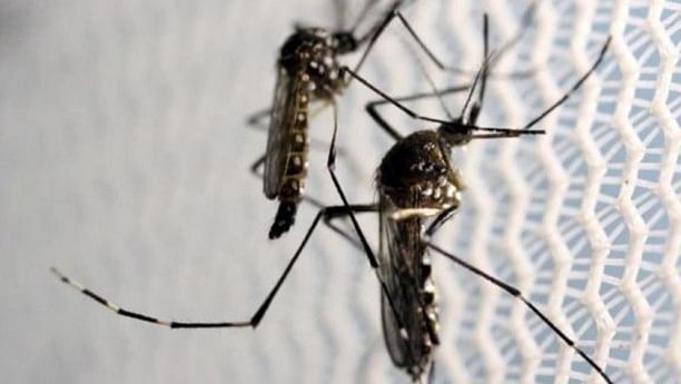 First cluster of Zika virus cases identified in Bangladesh: icddr,b